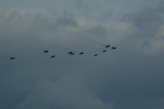 zdj�cie: dsc_1367.jpg [160 kB]