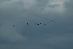 zdj�cie: dsc_1368.jpg [161 kB]