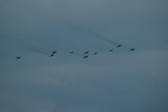 zdj�cie: dsc_1369.jpg [155 kB]