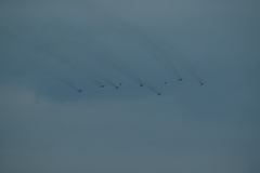 zdj�cie: dsc_1370.jpg [152 kB]