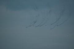 zdj�cie: dsc_1371.jpg [153 kB]