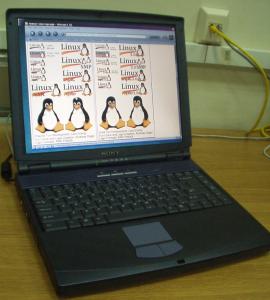 Penguins on Laptop