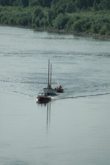 dsc_8783.jpg, 2008.06.06 17:08:31 dsc_8783.jpg