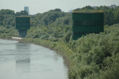 dsc_8785.jpg, 2008.06.06 17:08:52 dsc_8785.jpg