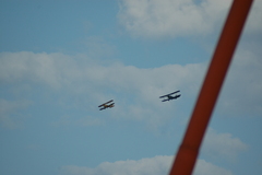 dsc_8789.jpg, 2008.06.06 17:11:42 dsc_8789.jpg