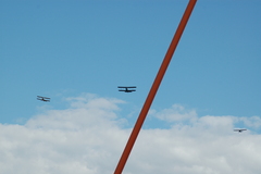 dsc_8797.jpg, 2008.06.06 17:12:46 dsc_8797.jpg