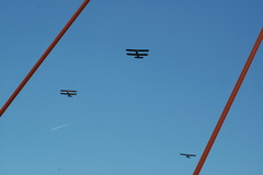 dsc_8800.jpg, 2008.06.06 17:12:52 dsc_8800.jpg