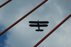 dsc_8803.jpg, 2008.06.06 17:12:56 dsc_8803.jpg