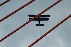 dsc_8804.jpg, 2008.06.06 17:12:57 dsc_8804.jpg