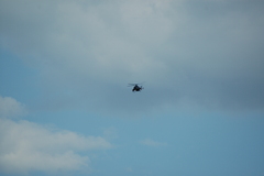 dsc_8814.jpg, 2008.06.06 17:18:50 dsc_8814.jpg