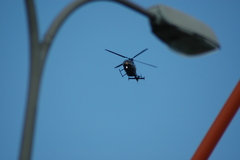 dsc_8817.jpg, 2008.06.06 17:19:07 dsc_8817.jpg