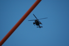 dsc_8822.jpg, 2008.06.06 17:19:14 dsc_8822.jpg