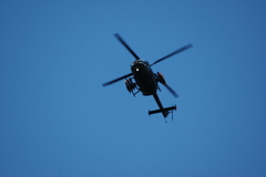 dsc_8824.jpg, 2008.06.06 17:19:17 dsc_8824.jpg