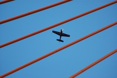 dsc_8839.jpg, 2008.06.06 17:20:09 dsc_8839.jpg