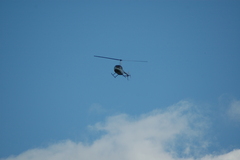 dsc_8850.jpg, 2008.06.06 17:21:37 dsc_8850.jpg