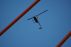 dsc_8855.jpg, 2008.06.06 17:21:43 dsc_8855.jpg